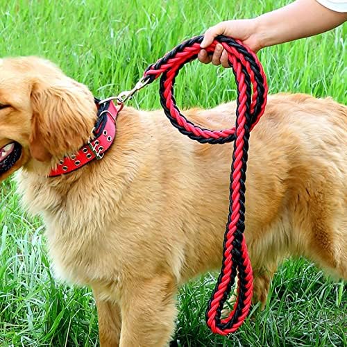 NC Новиот ланец на кучиња, голем синџир на кучиња Златен Мулах Брадоски влечен јаже одење кучиња јаже јака домашно миленичиња