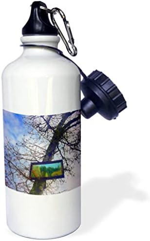 3drose 2022 Дилан Сеиболд - Фотографија - Огледало во дрво - шишиња со вода