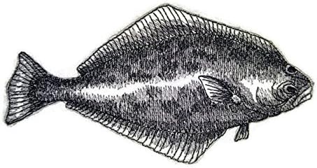 Природна распродажба Прекрасна сопствена скица за риби [риба од халибут] Везено железо на/шива лепенка [6 x 3,17] направено