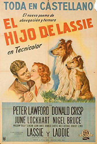 Син на Ласи 1945 Аргентински постер